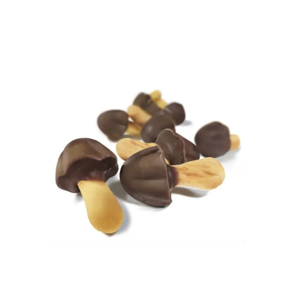 Galletas Chocolate Kinoko No Yama Meiji 36 Gr - Kenko Foods